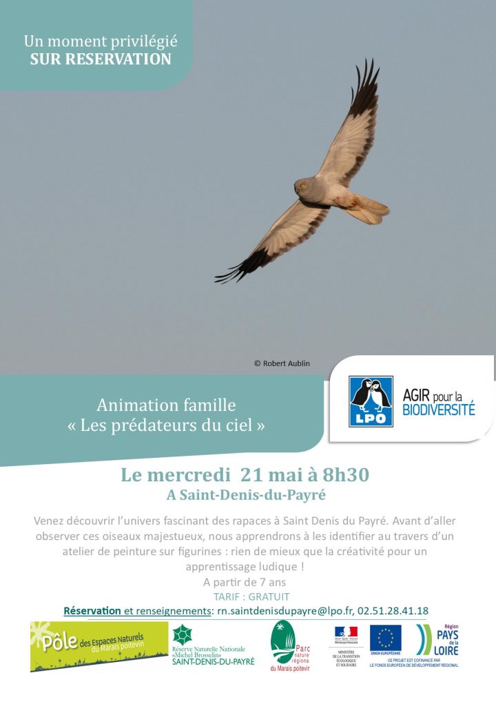 Animation famille « Les prédateurs du ciel »